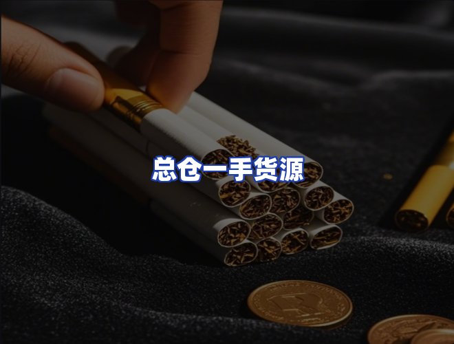 专业团队